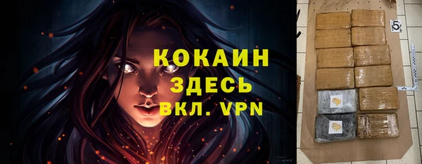 сатива Богородицк