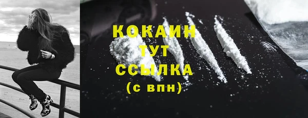 молекула духа Богданович