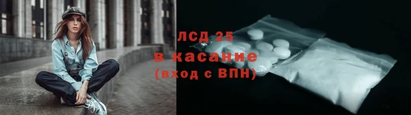 молекула духа Богданович