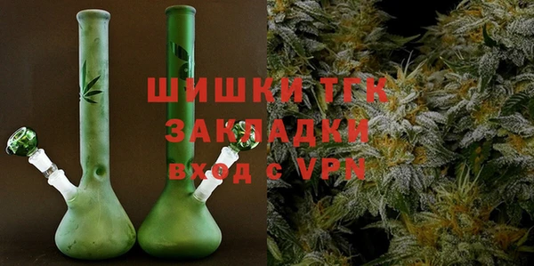 молекула духа Богданович
