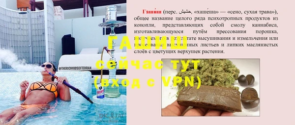 сатива Богородицк
