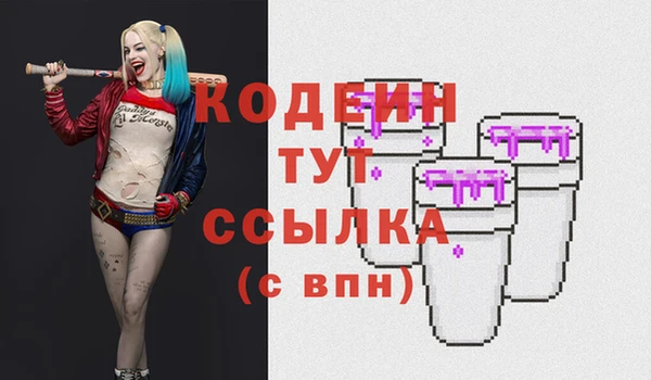 молекула духа Богданович