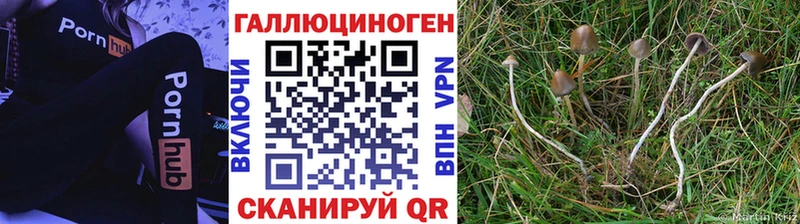 Псилоцибиновые грибы ЛСД  Болгар 